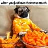 cheeeeeese00